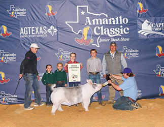 champion light cross market hog
2025 Amarillo Classic