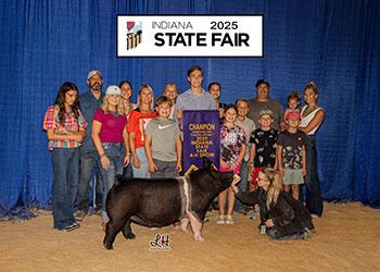 CHAMPION HAMPSHIRE GILT
2025 IN STATE FAIR