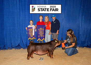 3RD OVERALL DUROC GILT
2025 IN STATE FAIR