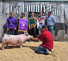 Grand champion gilt
2026 Jay County-IN