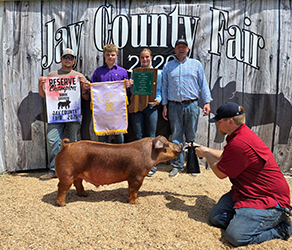Reserve grand barrow
2026 Jay County-IN