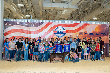 3RD OVERALL NSR PUREBRED GILT & CHAMPION DUROC GILT
2026 NJSS