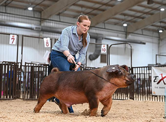 CHAMPION DUROC BARROW
2026 NJSA SW REGIONAL